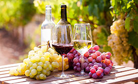 从适中的价格到高级品介绍葡萄酒的推荐的13选红或者白 