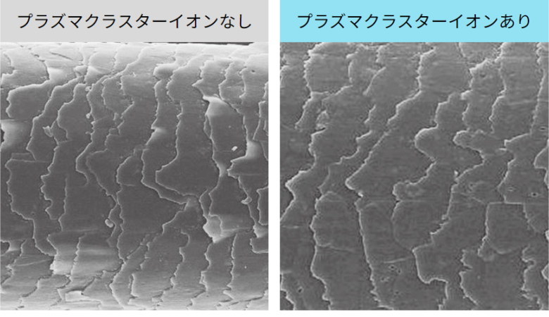 有自动除菌离子离子，被比较nashino头发的表皮