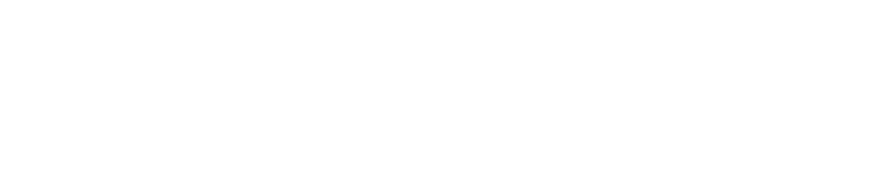 Dialogue BicCamera x双床房鸟