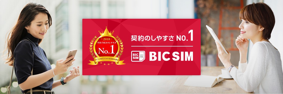 合同noshiyasusa NO.1 BIC SIM