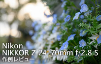 Sigma 24 70mm F2 8 ｄｇ Dn Art Bic照片风格 Biccamera Com