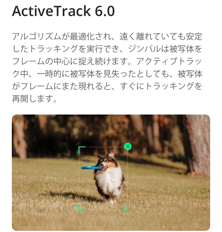 Active Track6.0