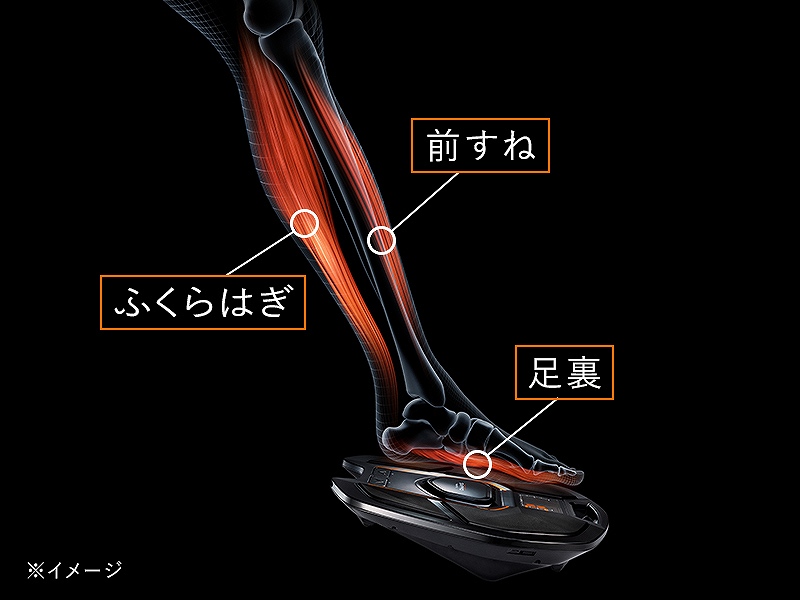 从脚掌做前，高效地接近支持腿肚子，步行的肌肉