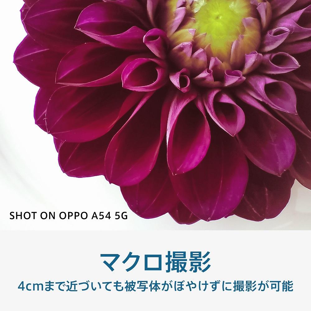 OPPO A54 5G Snapdragon 480 5G 6.5型存储器/库存： 无支持支持4GB/64GB nanoSIM+nanoSIM DSDV的ｄｏｃｏｍｏ/au/Rakuten/Y!mobileSIM的SIM智能手机