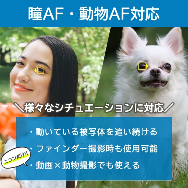 尼康Z5瞳孔、动物AF
