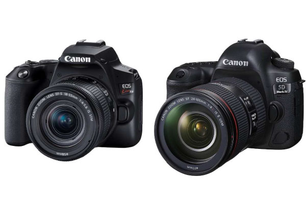 单反照相机的受欢迎的厂商Canon(佳能)