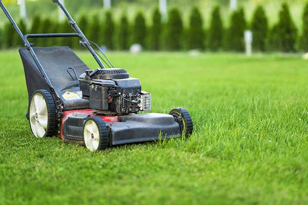 检查剪草机选法动力的不同，电动的|在10-30坪程度的大的院子推荐